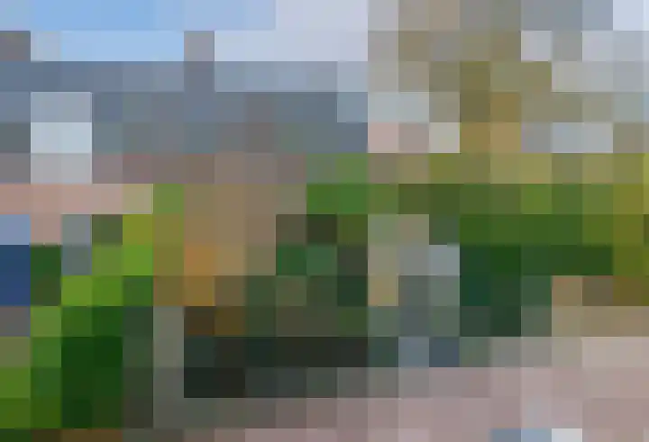 Langeweg 45 Sint Philipsland thumbnail 4
