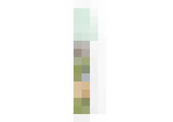Langeweg 45 Sint Philipsland thumbnail 56