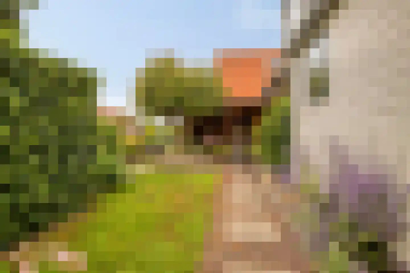 Langeweg 46 Roelofarendsveen thumbnail 17