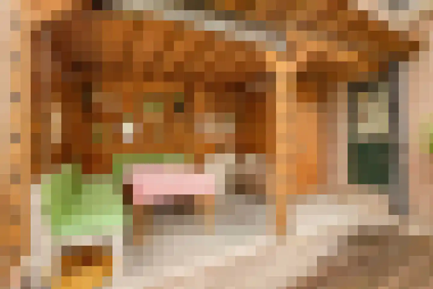 Langeweg 46 Roelofarendsveen thumbnail 19