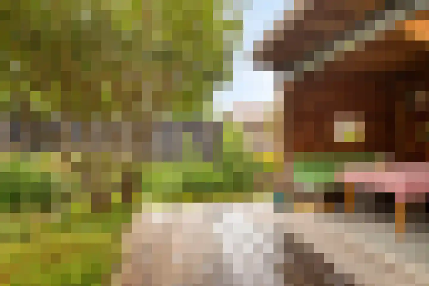 Langeweg 46 Roelofarendsveen thumbnail 20