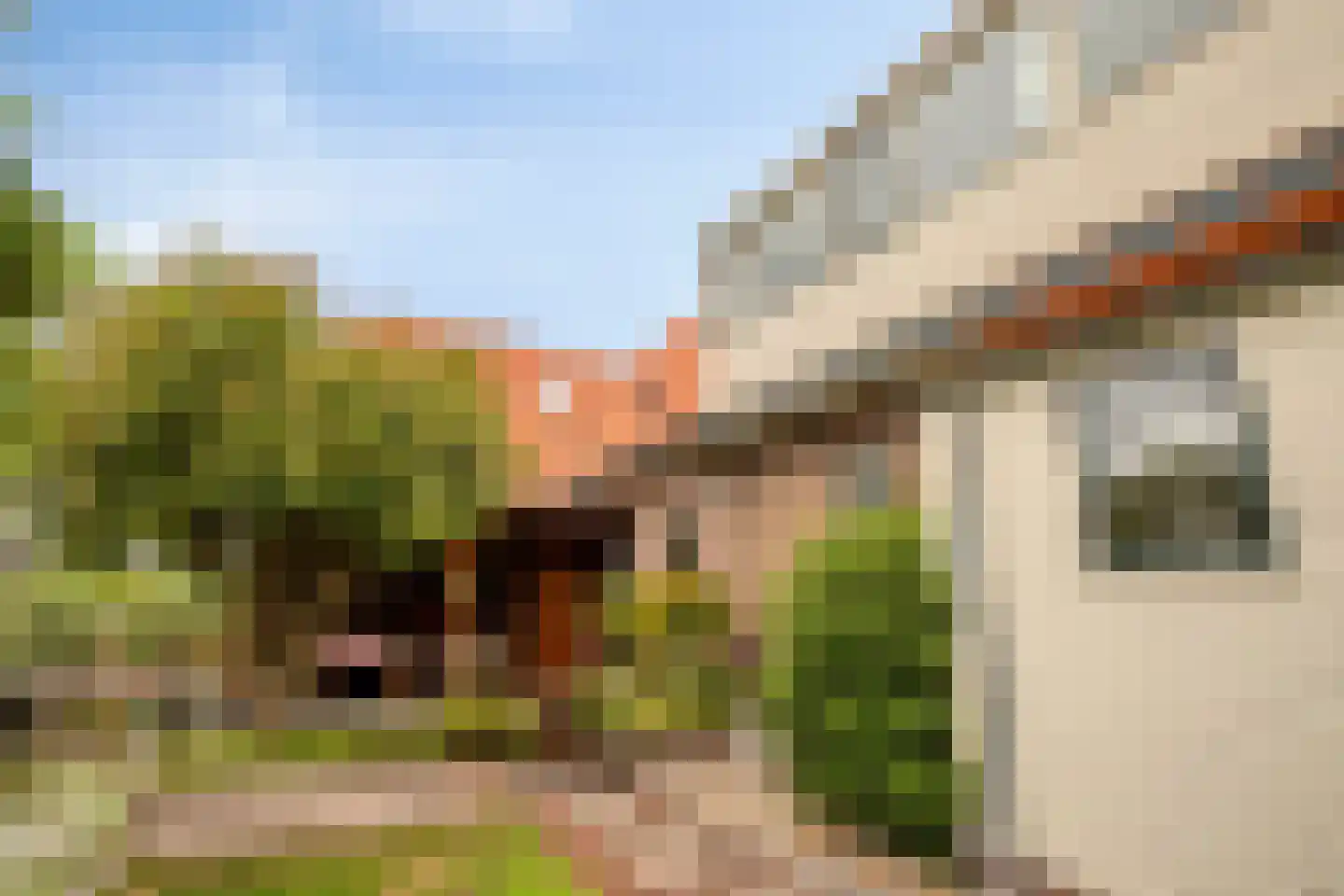 Langeweg 46 Roelofarendsveen thumbnail 21
