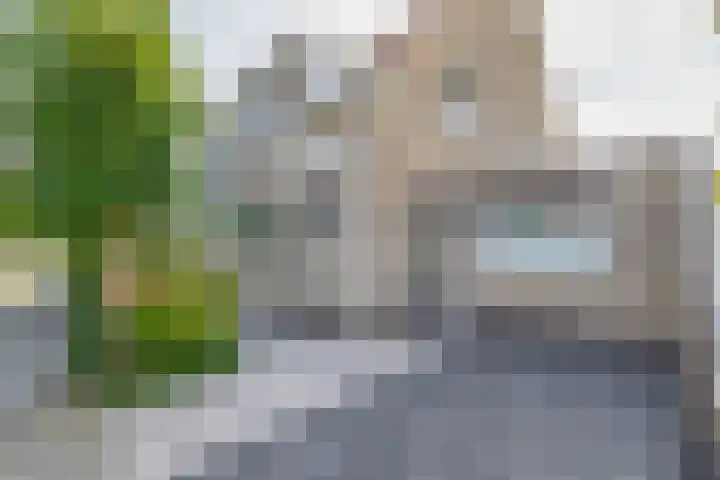Langeweg 47 Stellendam thumbnail 5