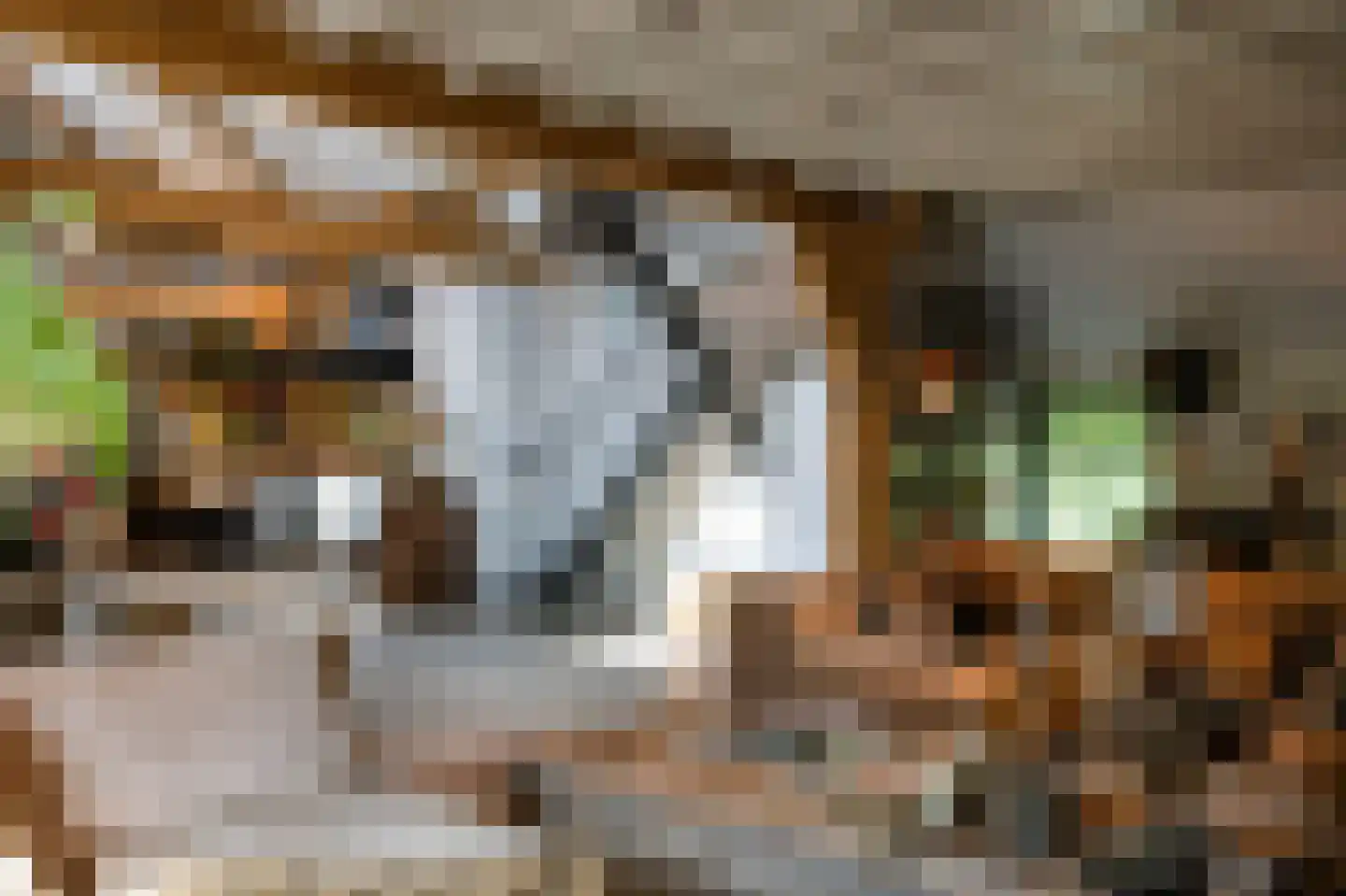 Langeweg 5 Blaricum thumbnail 19