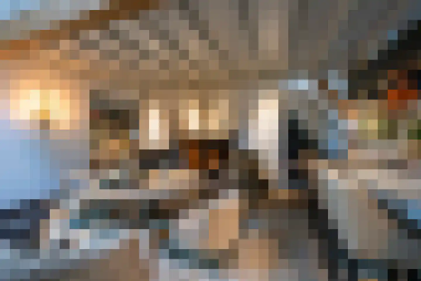 Langeweg 5 Blaricum thumbnail 27