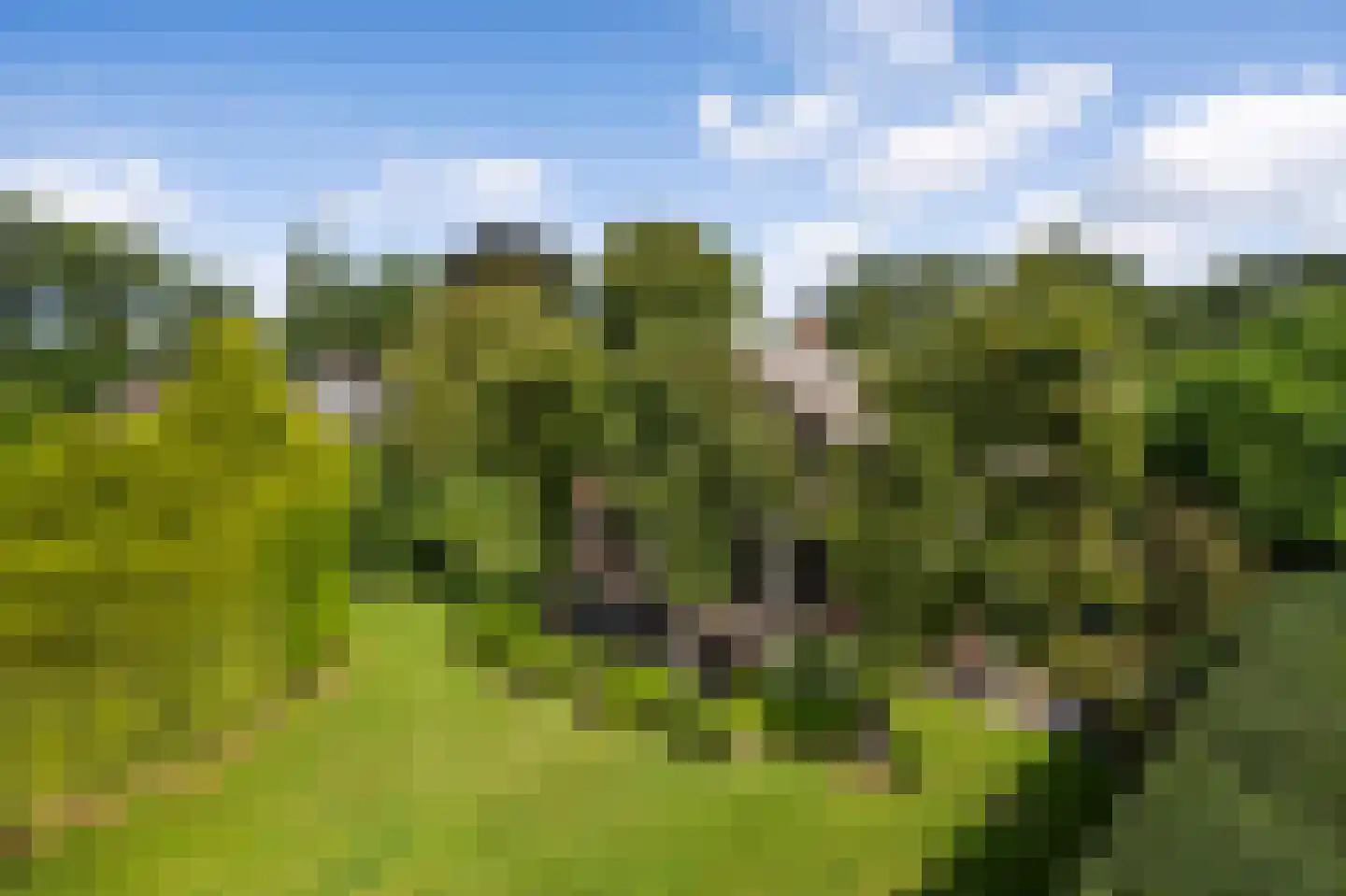 Langeweg 5 Blaricum thumbnail 4
