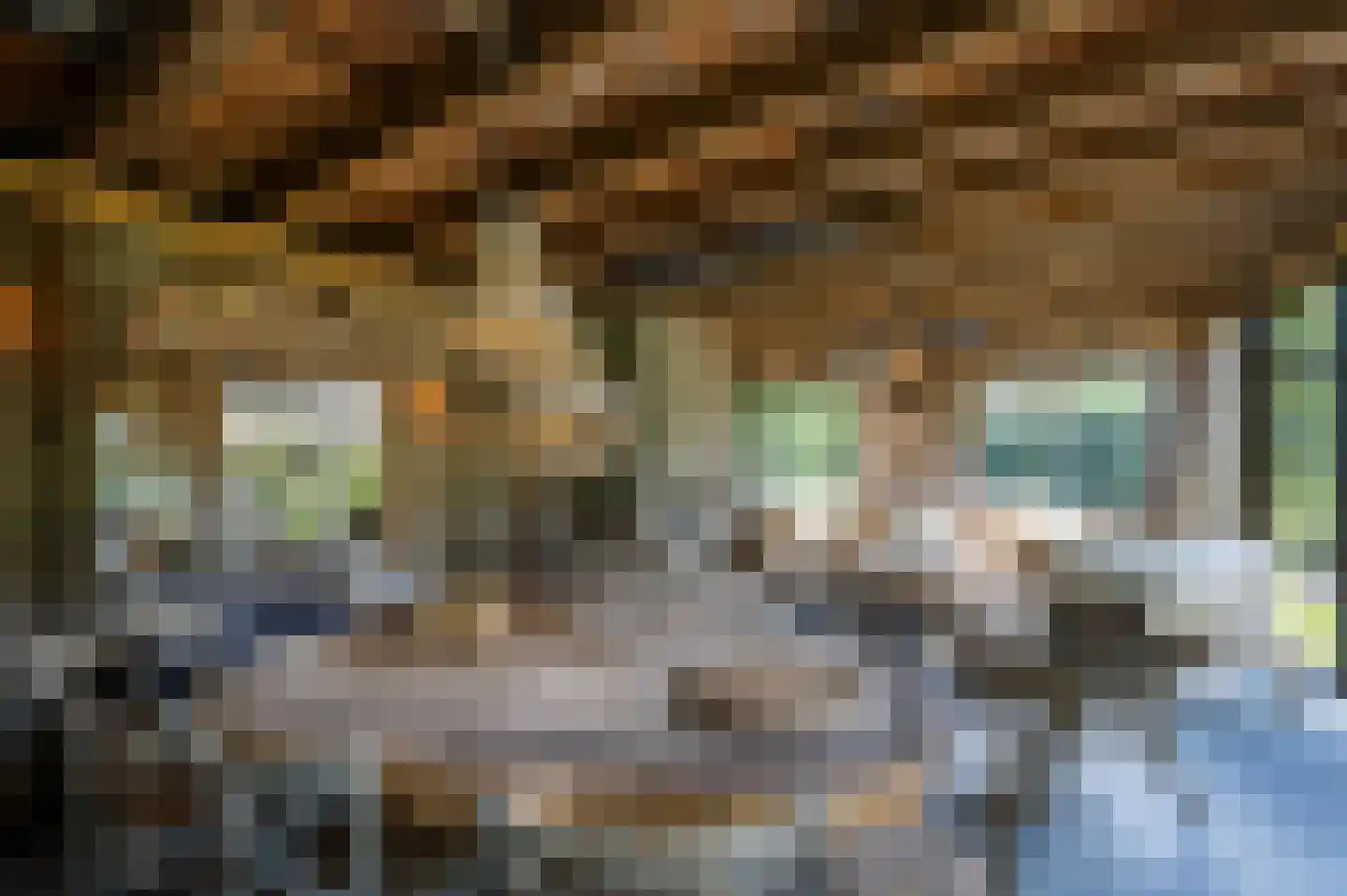 Langeweg 5 Blaricum thumbnail 57