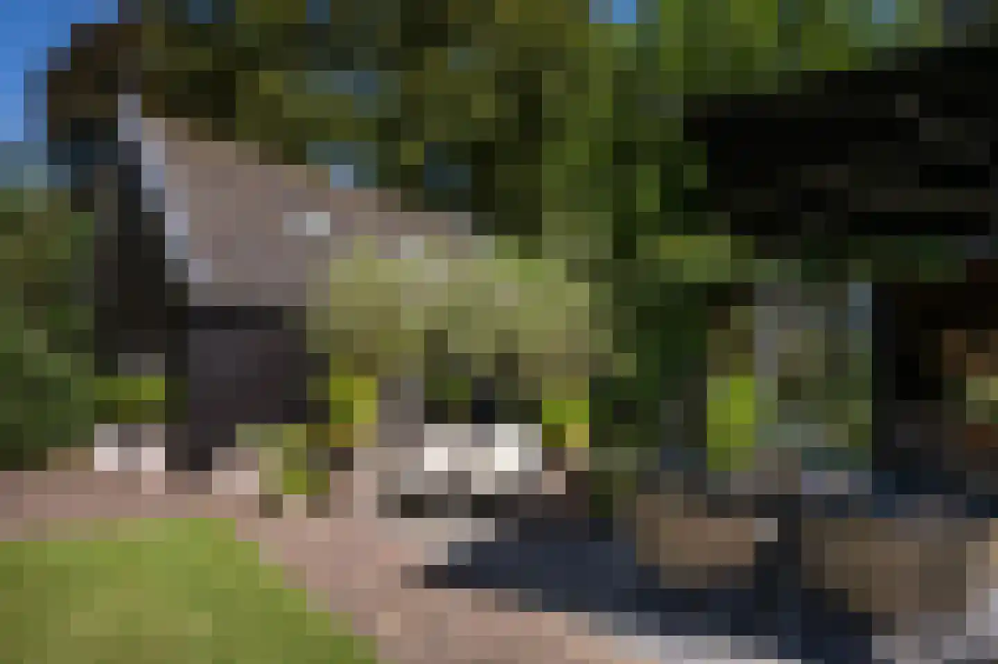 Langeweg 5 Blaricum thumbnail 61