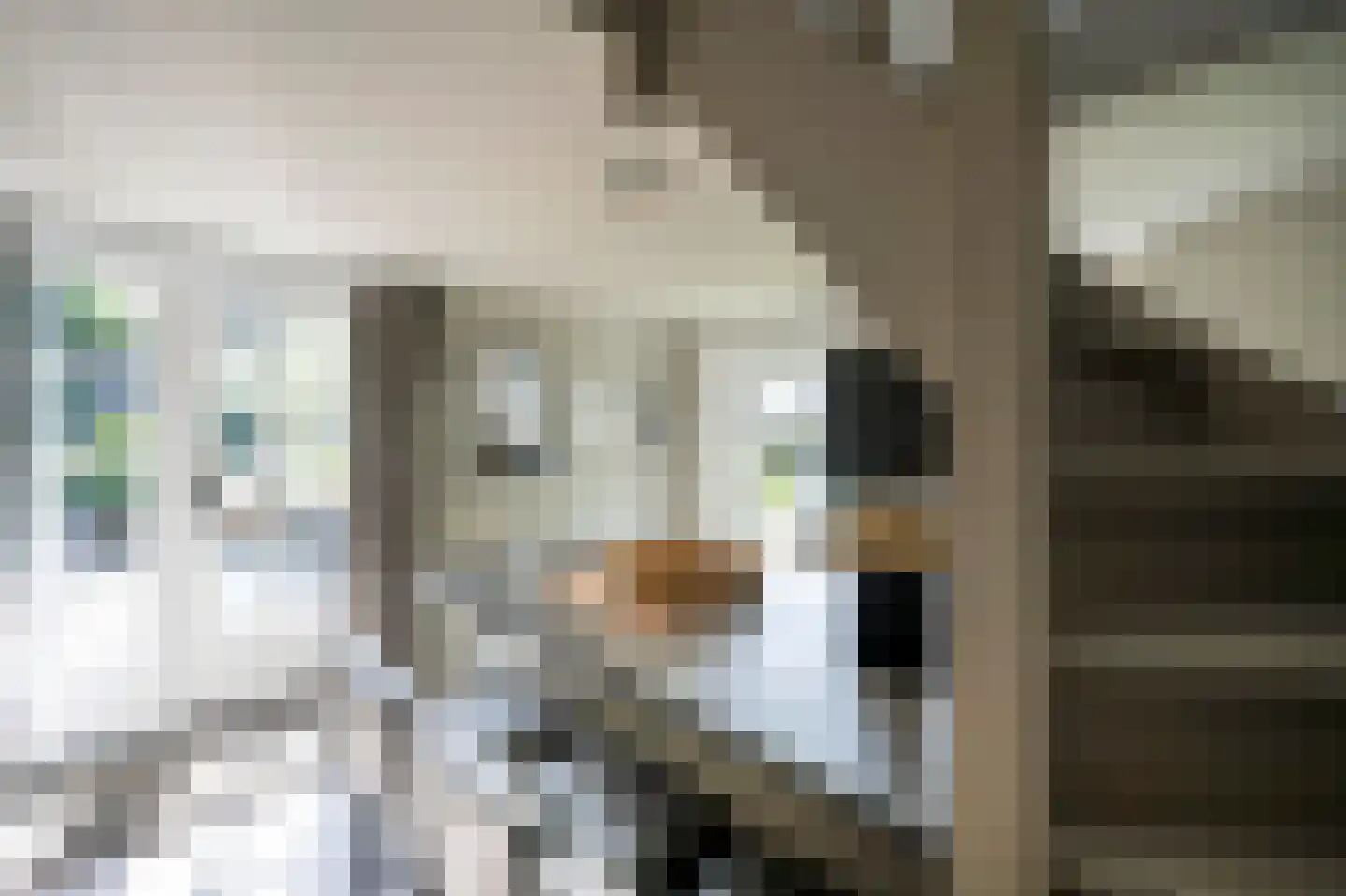 Langeweg 5 Blaricum thumbnail 63