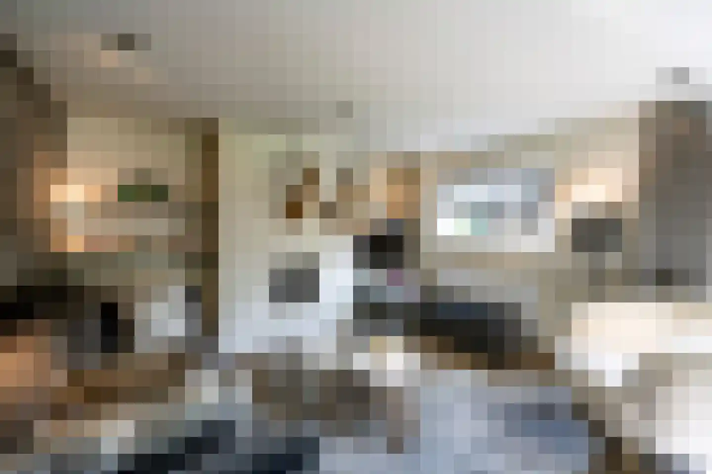 Langeweg 5 Blaricum thumbnail 66