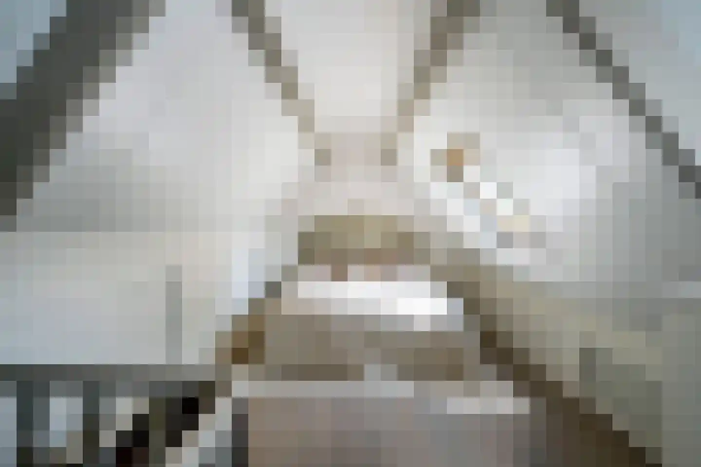 Langeweg 5 Blaricum thumbnail 67