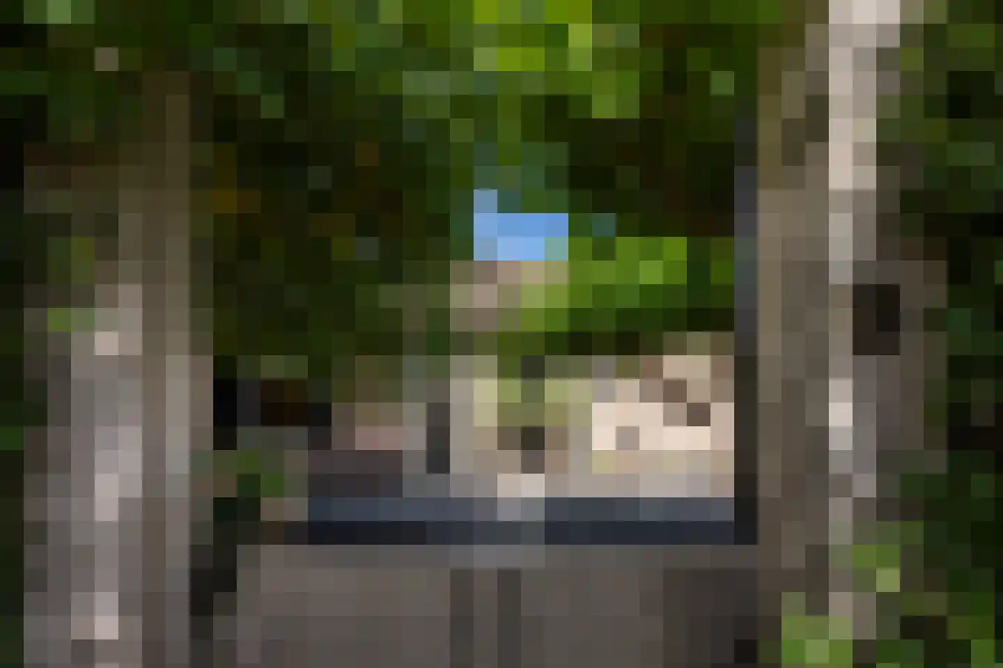 Langeweg 5 Blaricum thumbnail 7