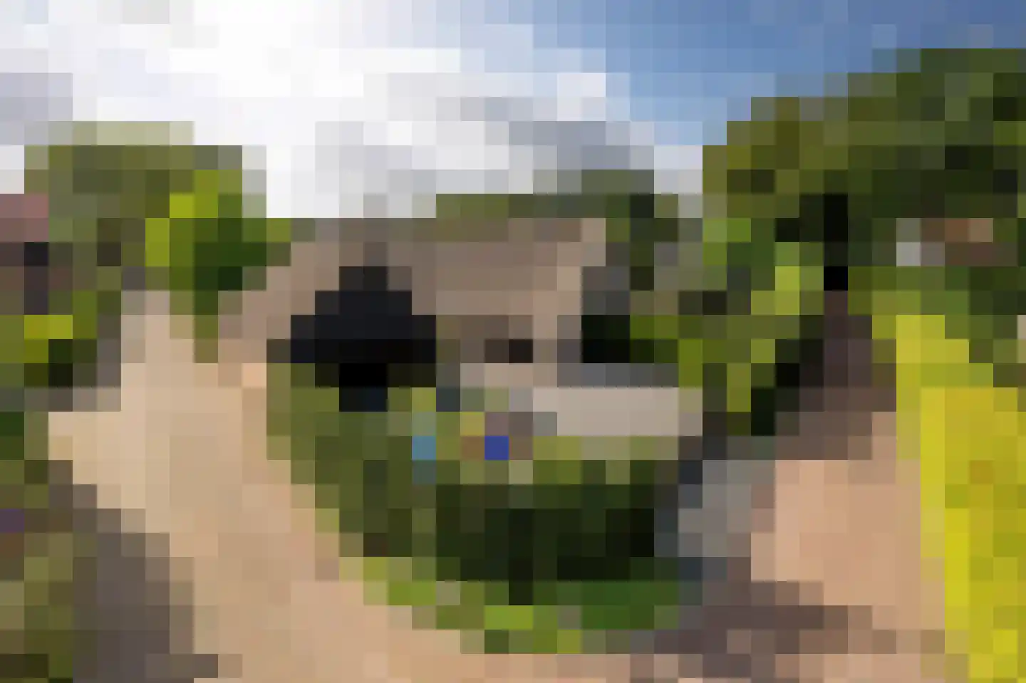 Langeweg 5 Blaricum thumbnail 75