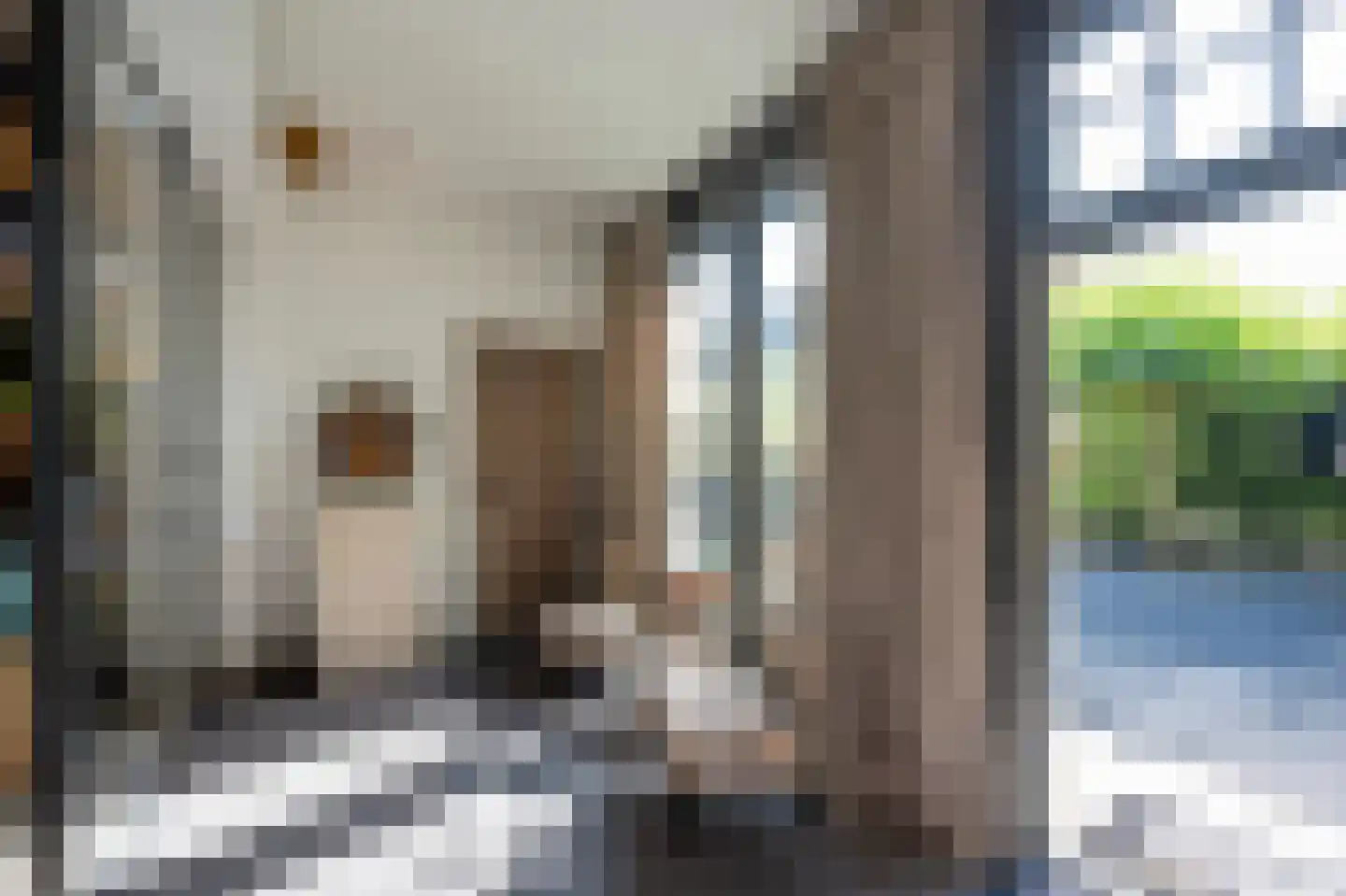 Langeweg 5 Blaricum thumbnail 9