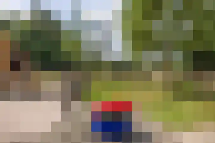 Langeweg 52 Grootegast thumbnail 4