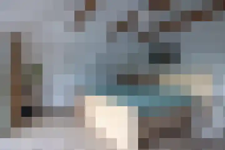Langeweg 52 Grootegast thumbnail 43