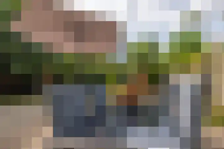 Langeweg 52 Grootegast thumbnail 53