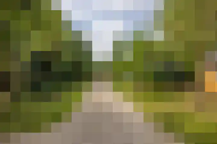 Langeweg 52 Grootegast thumbnail 54