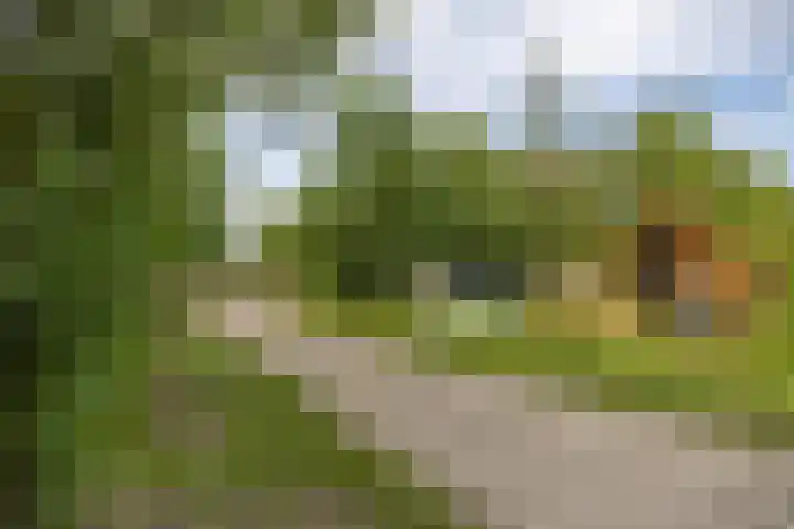 Langeweg 52 Grootegast thumbnail 55