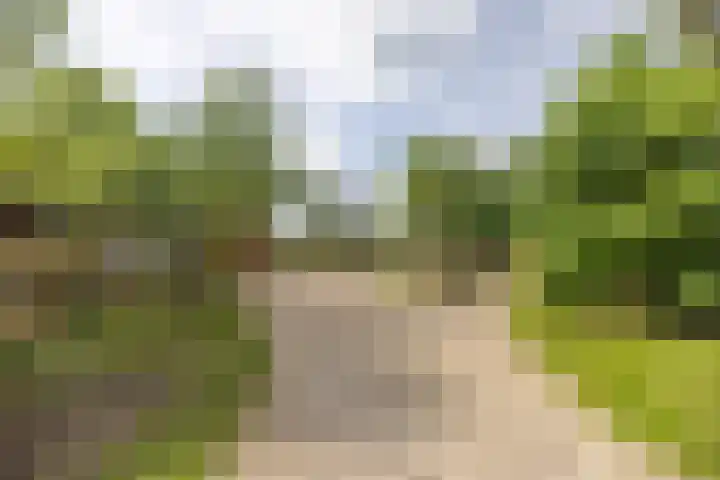 Langeweg 52 Grootegast thumbnail 56