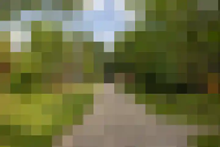 Langeweg 52 Grootegast thumbnail 57