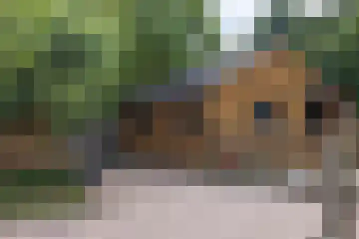 Langeweg 52 Grootegast thumbnail 58