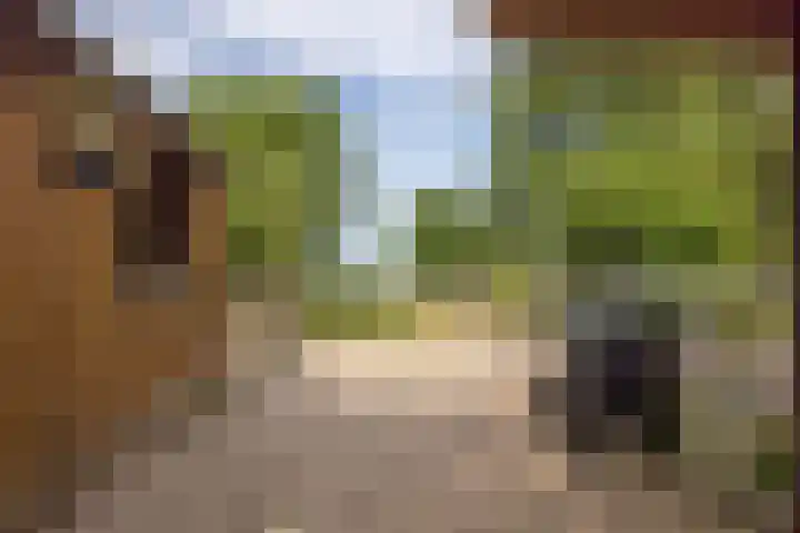 Langeweg 52 Grootegast thumbnail 59