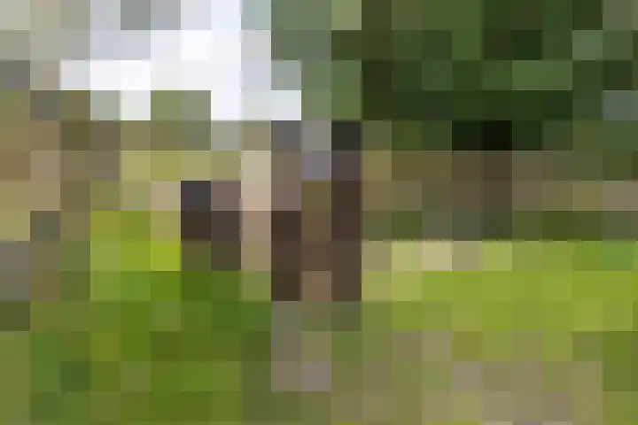 Langeweg 52 Grootegast thumbnail 60