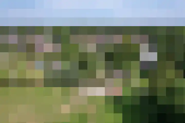 Langeweg 52 Grootegast thumbnail 67