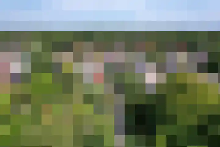 Langeweg 52 Grootegast thumbnail 68
