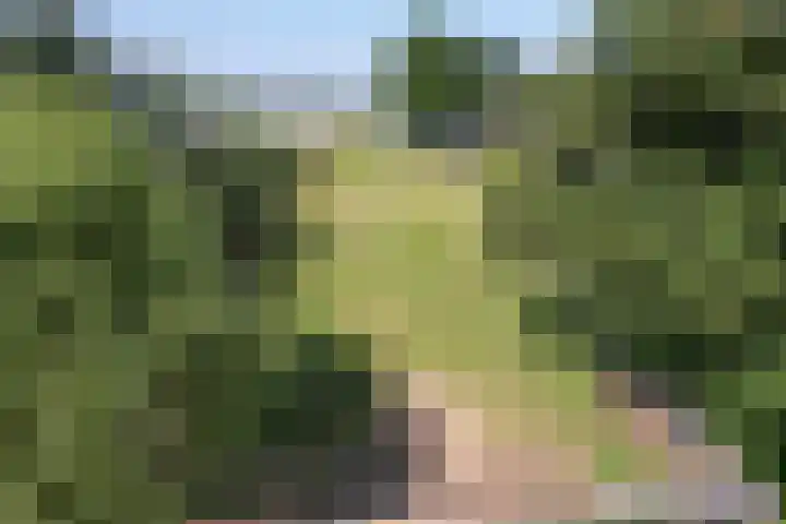 Langeweg 52 Grootegast thumbnail 69