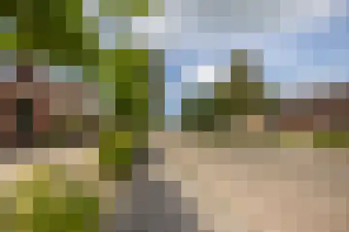 Langeweg 52 Grootegast thumbnail 7