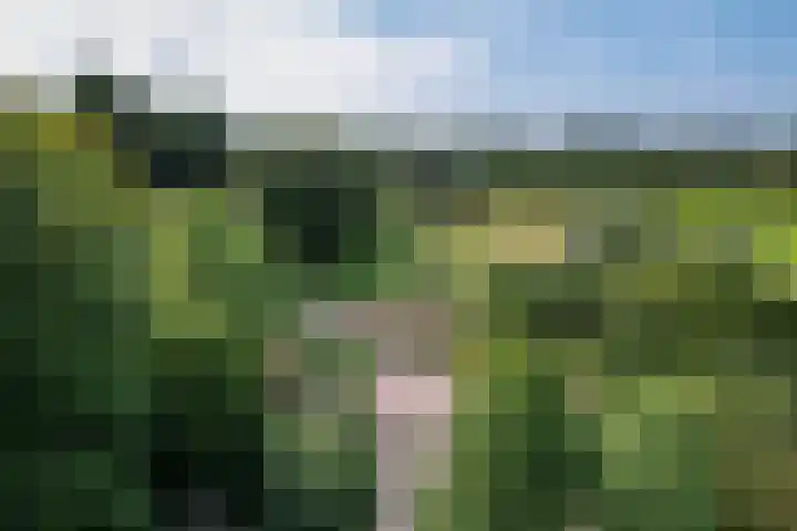 Langeweg 52 Grootegast thumbnail 71