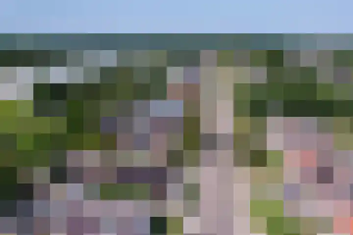 Langeweg 52 Grootegast thumbnail 74