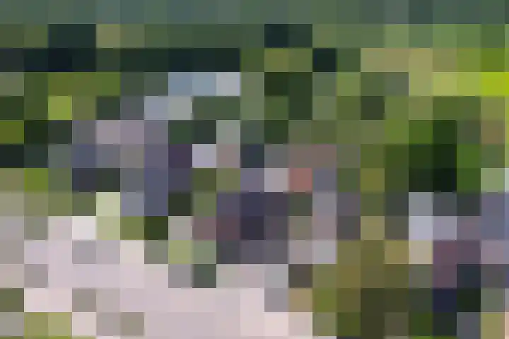 Langeweg 52 Grootegast thumbnail 75