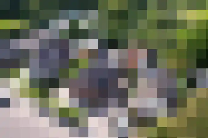 Langeweg 52 Grootegast thumbnail 76