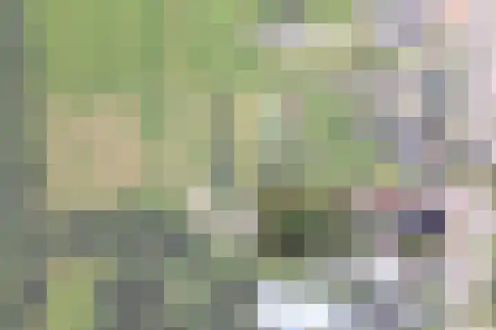 Langeweg 52 Grootegast thumbnail 77