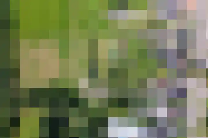 Langeweg 52 Grootegast thumbnail 78