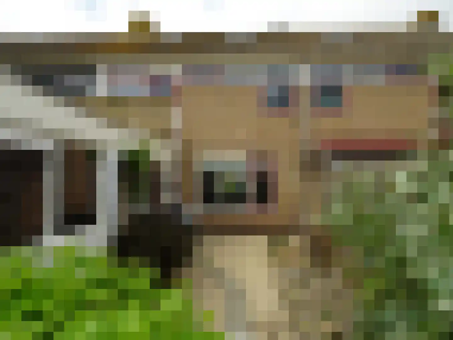 Langeweg 53 Slootdorp thumbnail 28