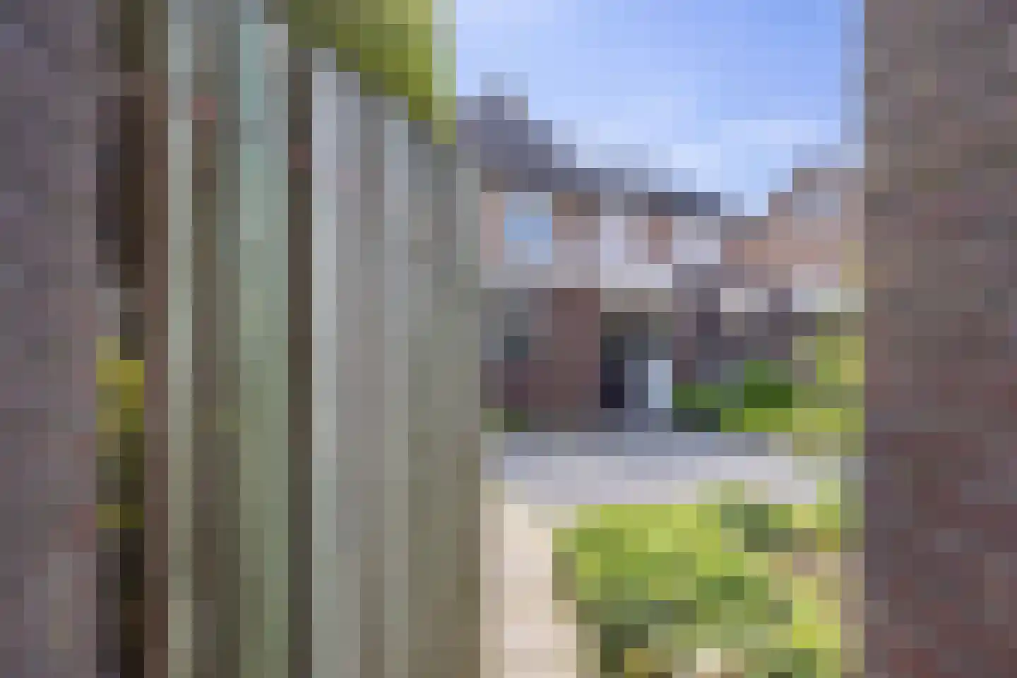 Langeweg 57 Venray thumbnail 37