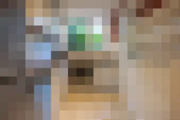 Langeweg 6 Grootegast thumbnail 13