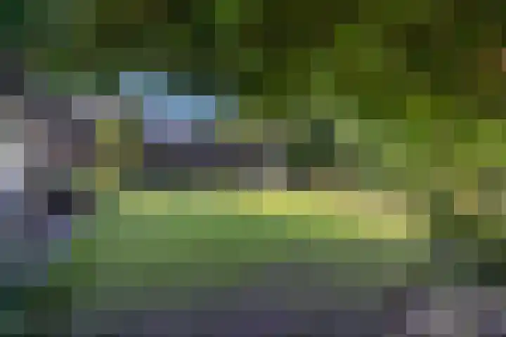 Langeweg 6 Grootegast thumbnail 29