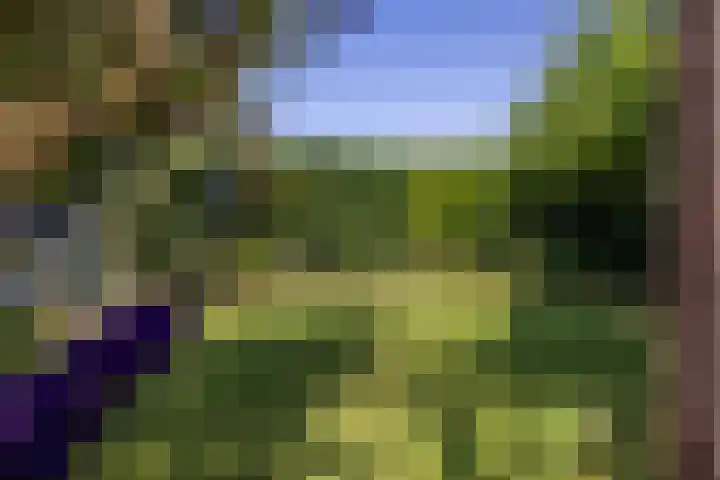 Langeweg 6 Grootegast thumbnail 30
