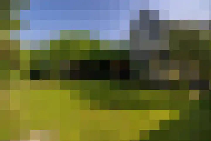 Langeweg 6 Grootegast thumbnail 31