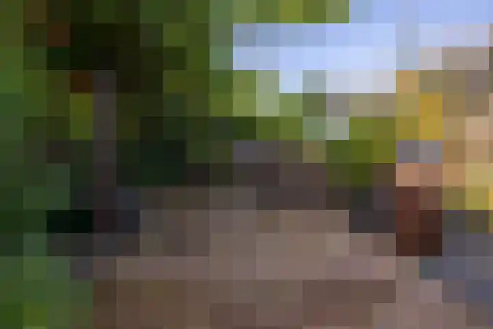 Langeweg 6 Grootegast thumbnail 36