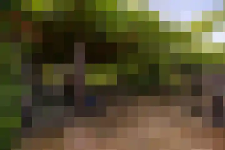 Langeweg 6 Grootegast thumbnail 37