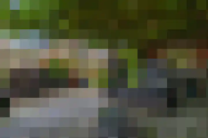 Langeweg 6 Grootegast thumbnail 39