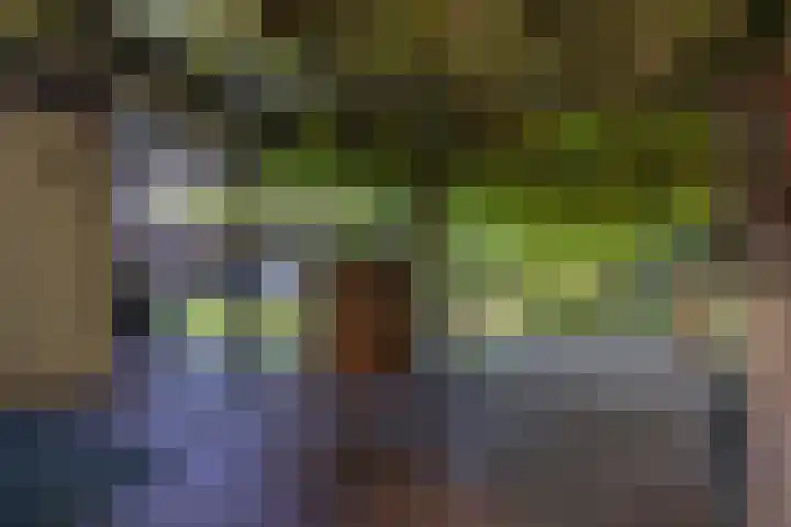 Langeweg 6 Grootegast thumbnail 40
