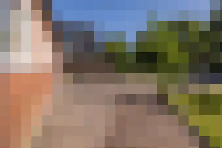 Langeweg 6 Grootegast thumbnail 41