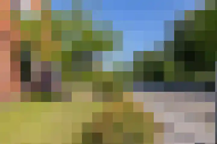 Langeweg 6 Grootegast thumbnail 46